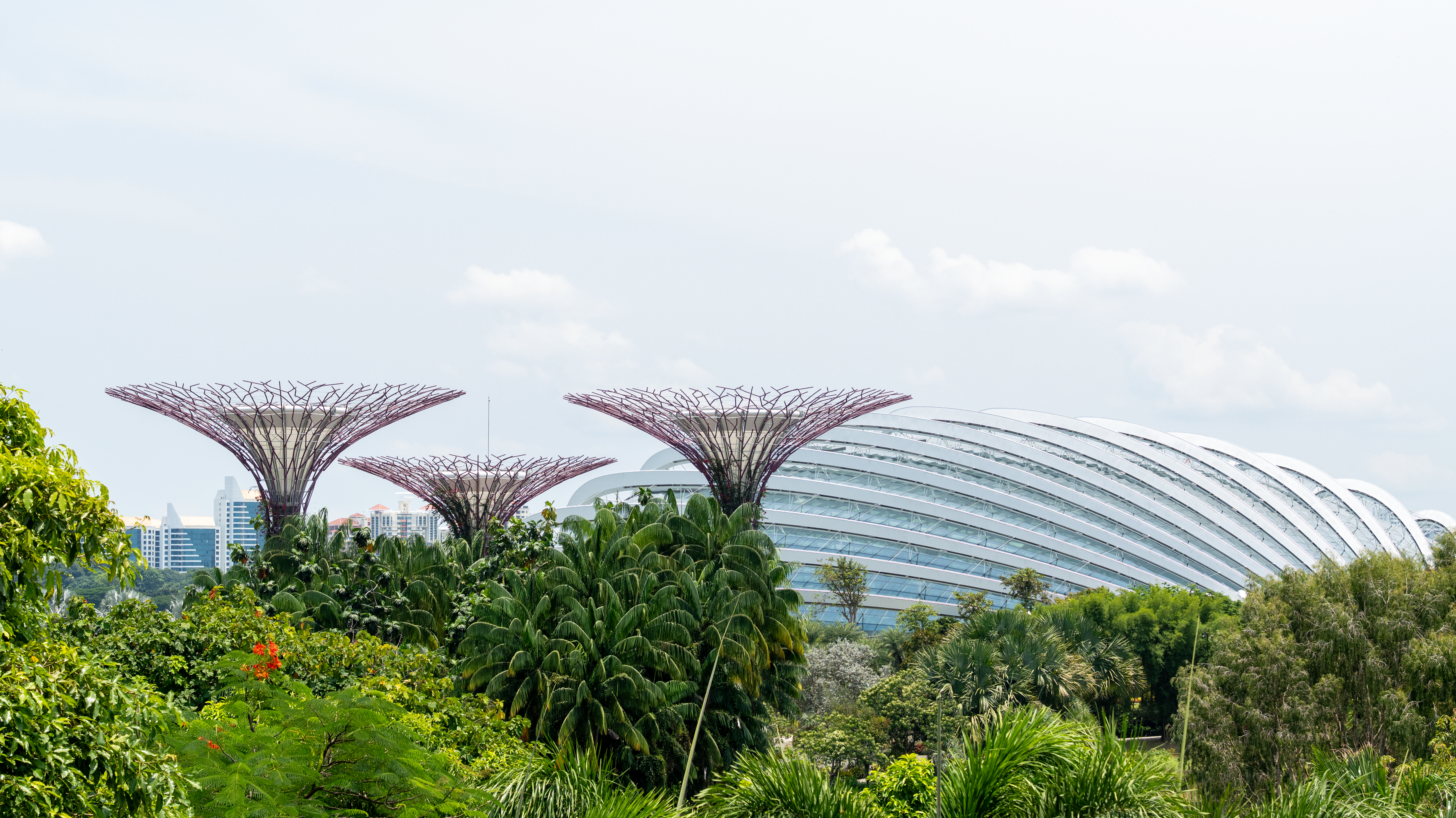 f1-singapore
